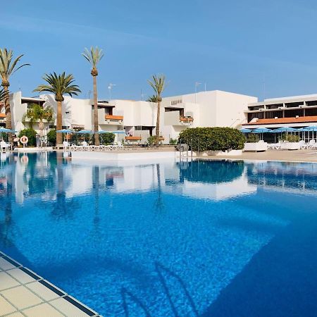 Tenerife Primavera أرونا المظهر الخارجي الصورة