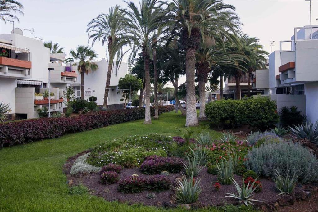 Tenerife Primavera أرونا المظهر الخارجي الصورة