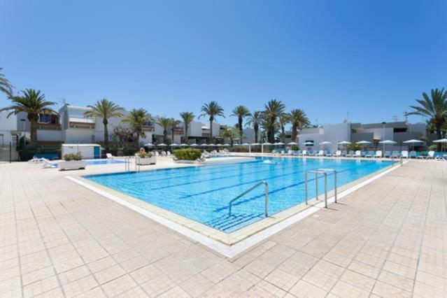 Tenerife Primavera أرونا المظهر الخارجي الصورة