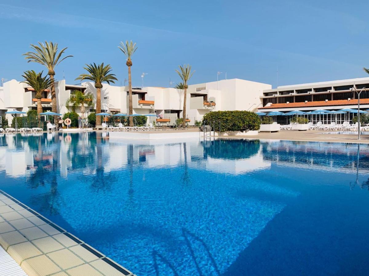 Tenerife Primavera أرونا المظهر الخارجي الصورة